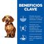Hill's Science Plan Perfect Weight Adult Small & Mini pienso para perros, , large indicador imagen numero 4